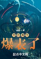 我的属性爆表了在线阅读