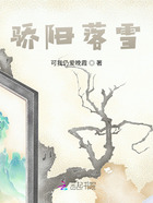 驕陽落雪在線閱讀