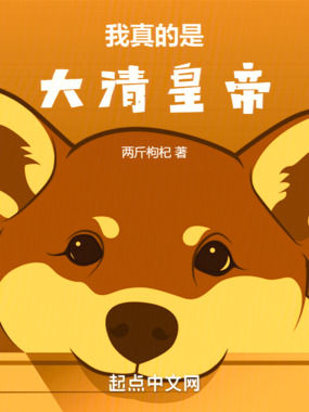 我真的是大清皇帝!在线阅读