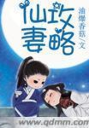 仙妻攻略在线阅读