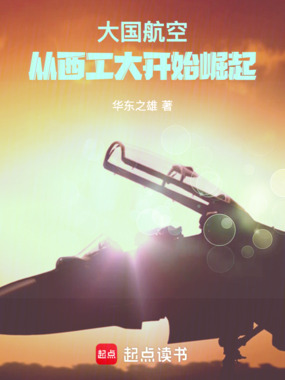 大国航空，从西工大开始崛起在线阅读