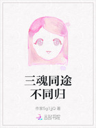 三魂同途不同归在线阅读