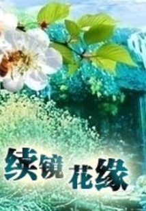 續鏡花緣