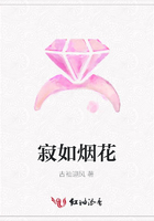 寂如煙花在線閱讀