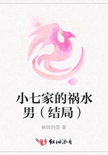 小七家的祸水男（结局）