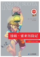 汤姆·索亚历险记