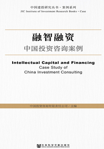融智融資：中國投資咨詢案例（中國建投研究叢書·案例系列）