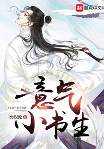 意氣小書生