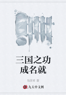 三國之功成名就
