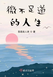 微不足道的人生