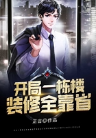 开局一栋楼，装修全靠省！