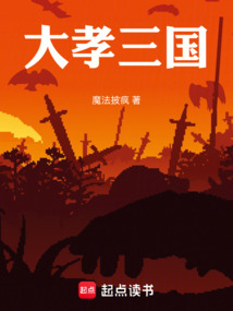 大孝三國