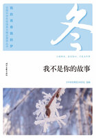 “我的青春我的梦”全国中学生校园美文精品集萃丛书:我不是你的故事在线阅读