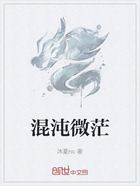 混沌微茫在线阅读