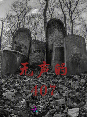 无声的407在线阅读