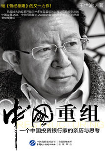 中國(guó)重組:一個(gè)中國(guó)投資銀行家的親歷與思考