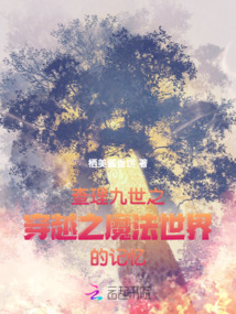 查理九世之穿越之魔法世界的記憶