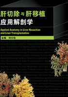 肝切除与肝移植应用解剖学(第2版)