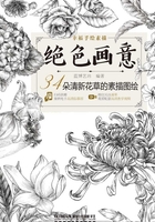 绝色画意：34朵清新花草的素描图绘