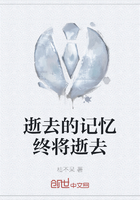 逝去的记忆终将逝去在线阅读