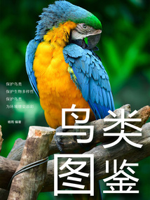 鳥類圖鑒