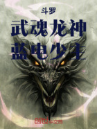 斗罗:武魂龙神,蓝电少主在线阅读
