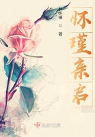 怀瑾亲启在线阅读