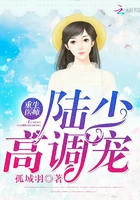 重生醫師：陸少高調寵在線閱讀