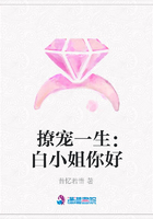 撩寵一生：白小姐你好在線閱讀