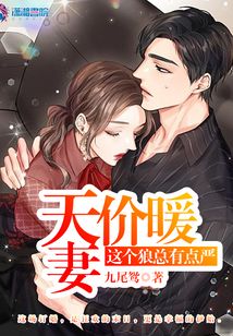 天價暖妻：這個狼總有點嚴