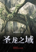 圣龍之域在線閱讀