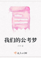 我們的公考夢在線閱讀