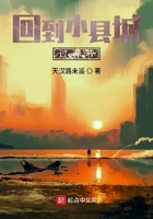 回到小縣城過春節(jié)在線閱讀