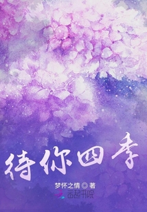 待你四季