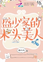 盛少家的木头美人在线阅读