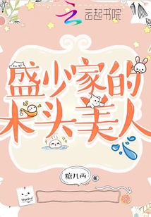 盛少家的木頭美人