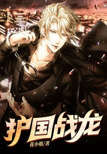 護國戰龍