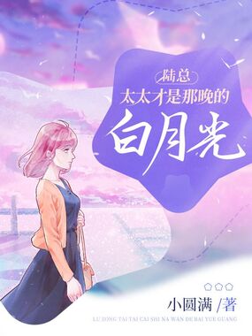 陆总，太太才是那晚的白月光在线阅读