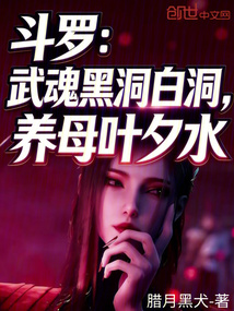 斗罗：武魂黑洞白洞，养母叶夕水在线阅读