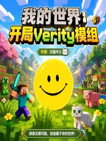 《我的世界：开局verity模组》封面
