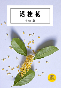 遲桂花（中國好小說）