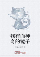 我有面神奇的鏡子在線閱讀