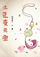 土豆变元宝在线阅读