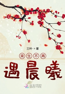 来生不再遇晨曦
