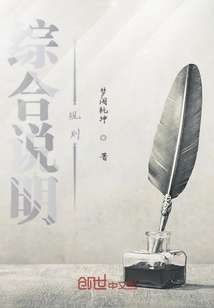綜合說明規則