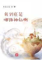 我到底是哪路神仙啊在線閱讀
