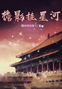檐影掛星河