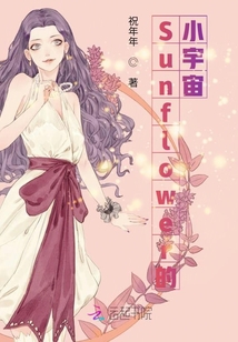 Sunflower的小宇宙
