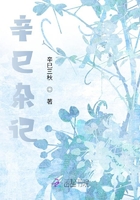 辛巳雜記在線閱讀