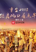 重生2008，距离风口有点早